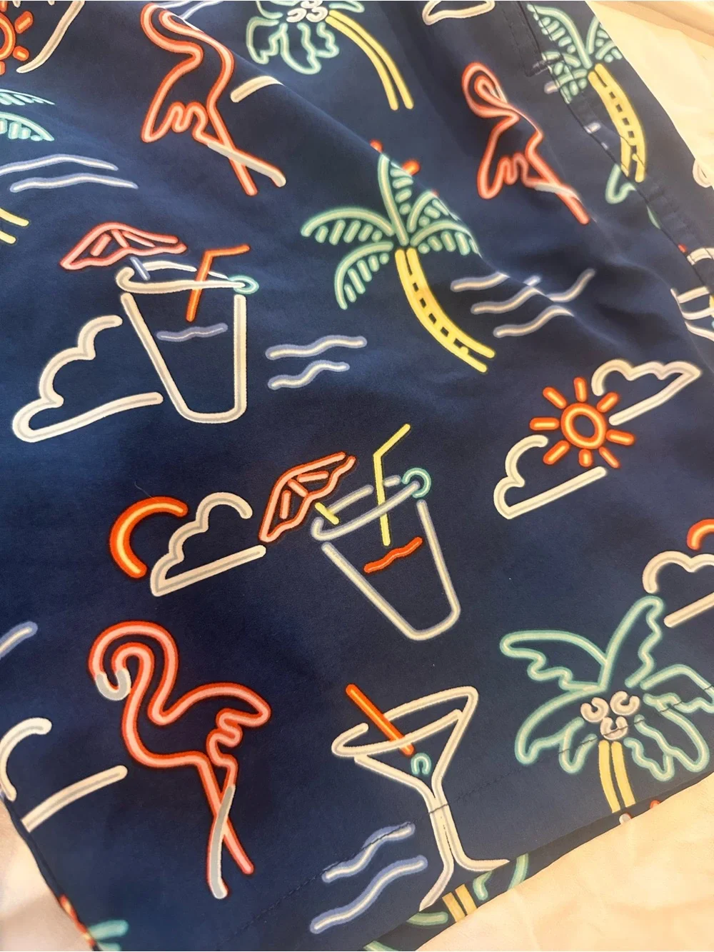 chubbies men swim